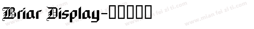 Briar Display字体转换